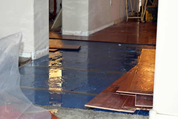 Professional Water Damage technician working in Hampshire, IL